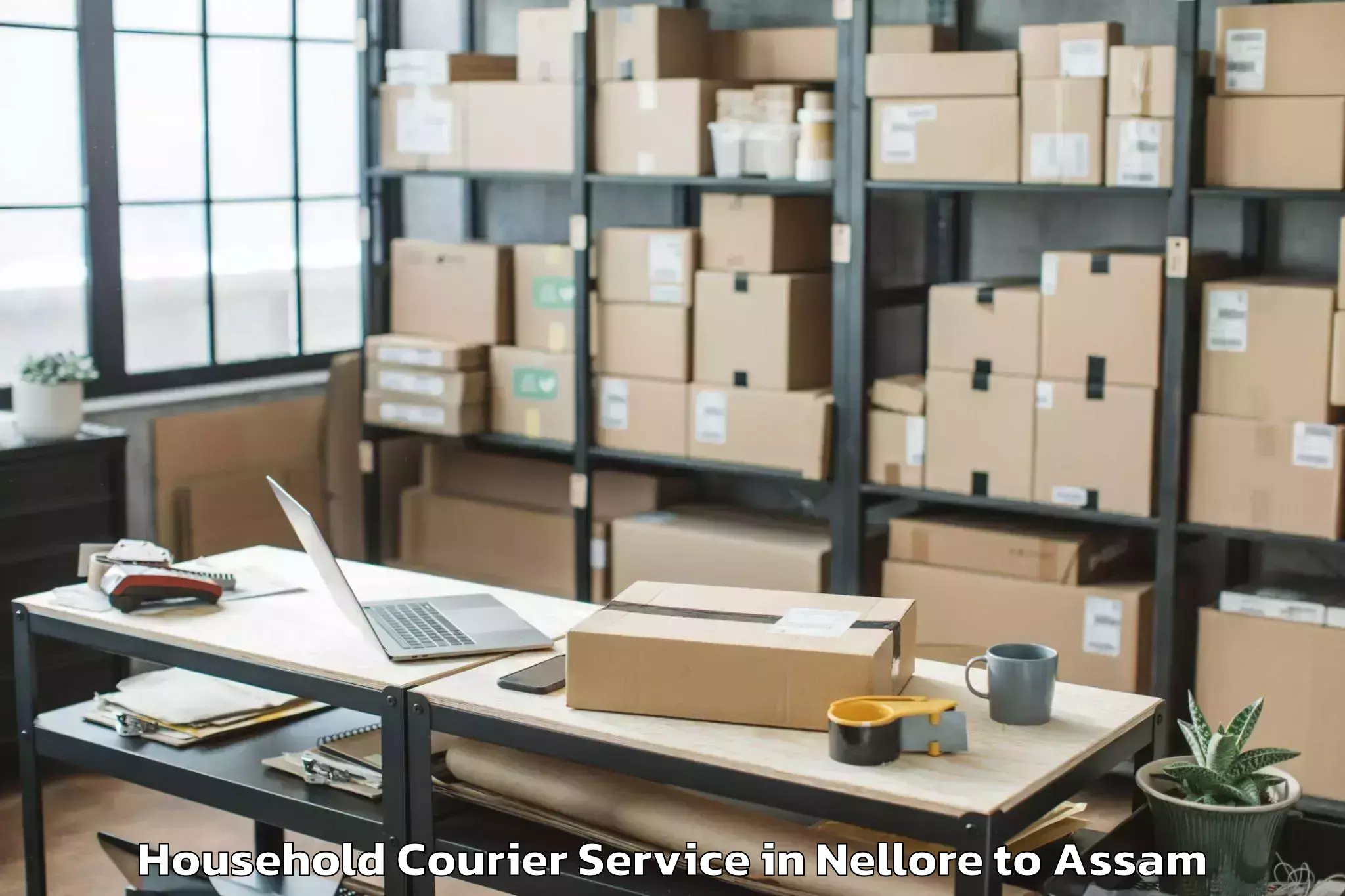 Hassle-Free Nellore to Tezpur Household Courier